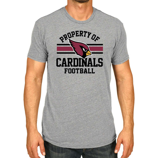 Arizona Cardinals NFL Adult Property Of T-Shirt - Sport Gray