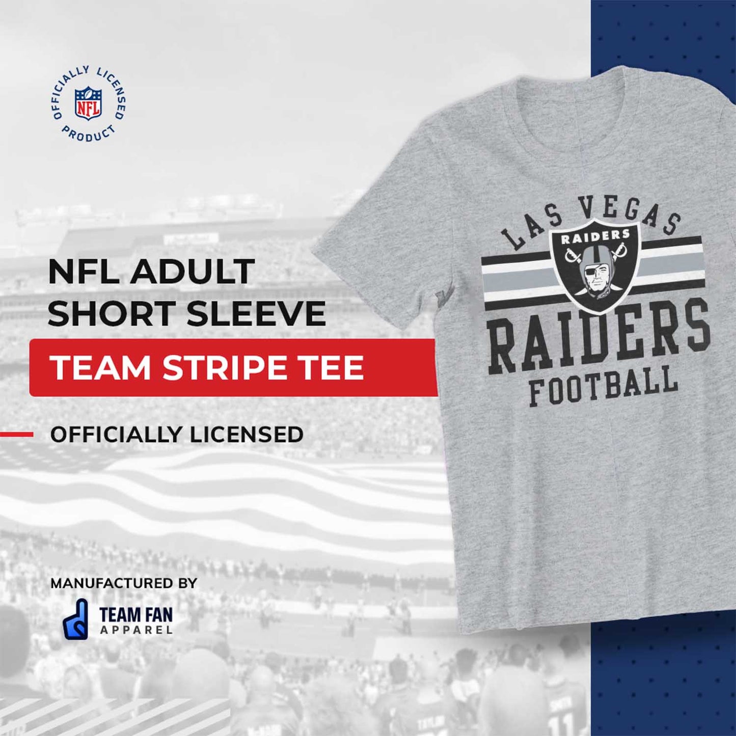 Las Vegas Raiders NFL Adult Short Sleeve Team Stripe Tee - Sport Gray