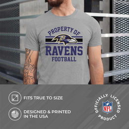 Baltimore Ravens NFL Adult Property Of T-Shirt - Sport Gray