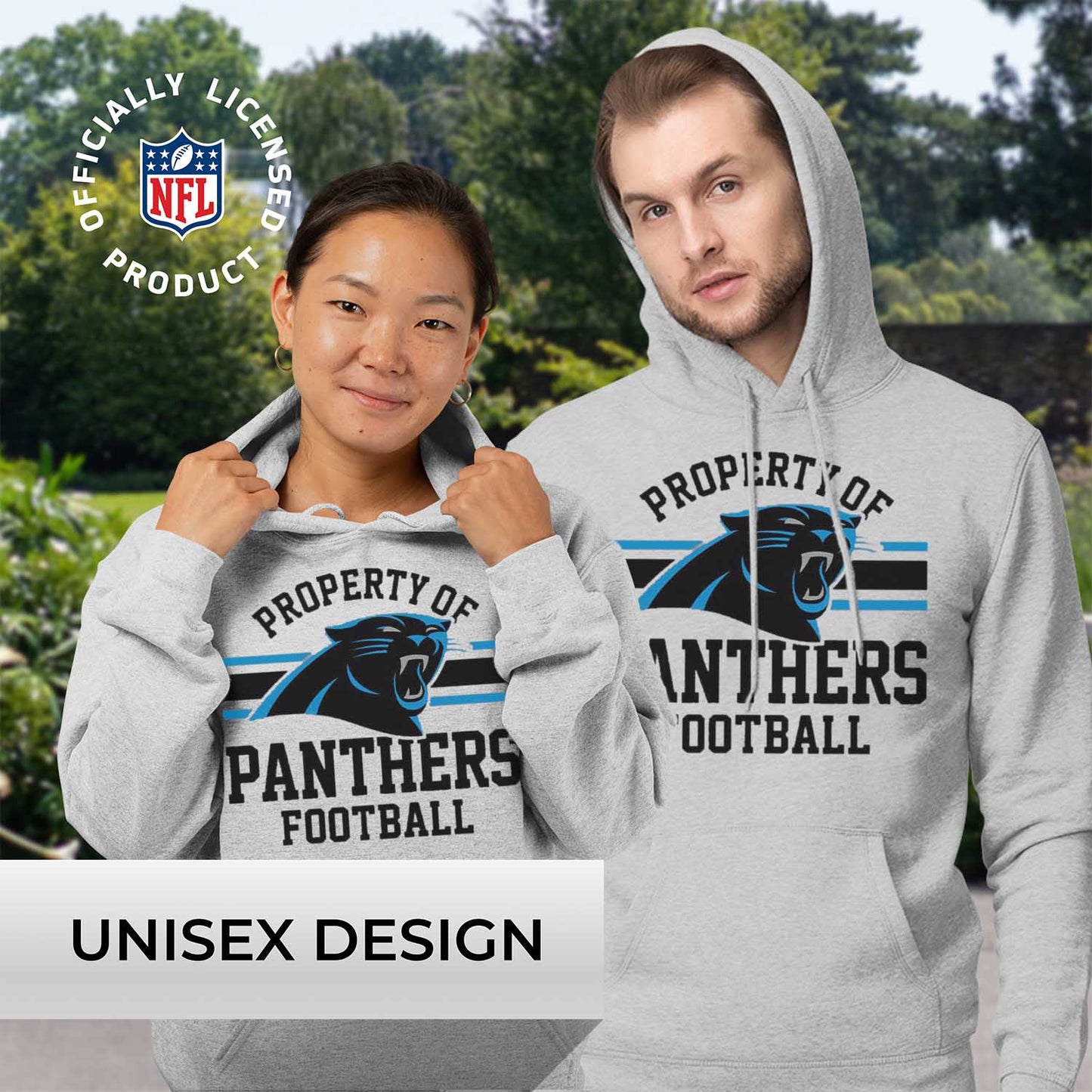 Carolina Panthers NFL Adult Property Of Hooded Sweatshirt - Sport Gray