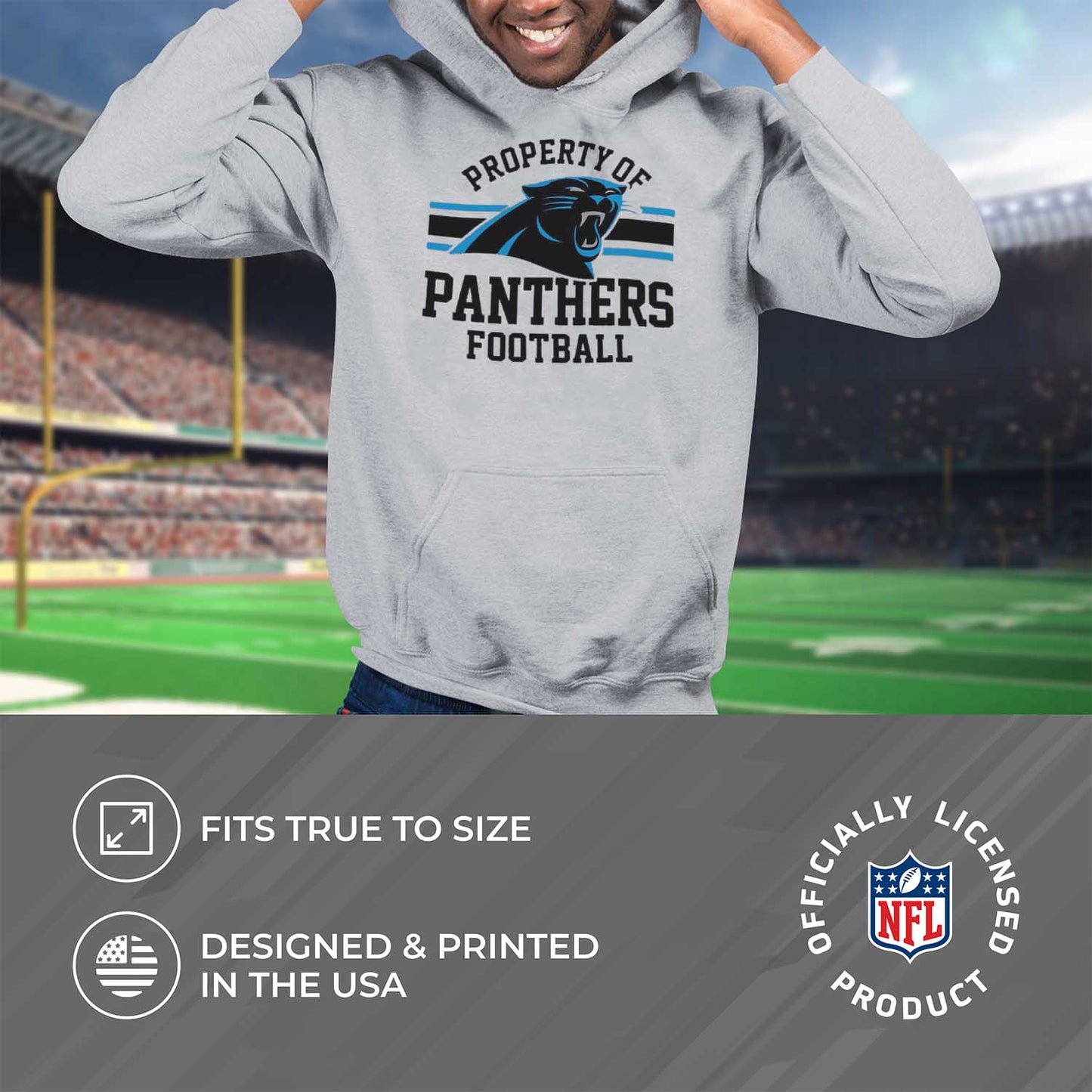Carolina Panthers NFL Adult Property Of Hooded Sweatshirt - Sport Gray