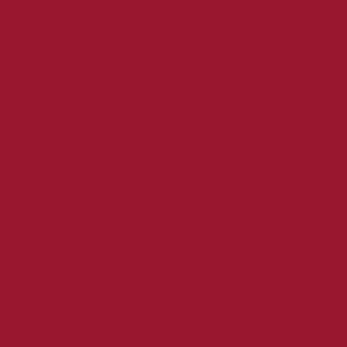 Indiana Hoosiers NCAA Adult Gameday Cotton T-Shirt - Crimson
