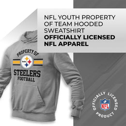 Pittsburgh Steelers NFL Youth Property Of Hooded Sweatshirt - Sport Gray