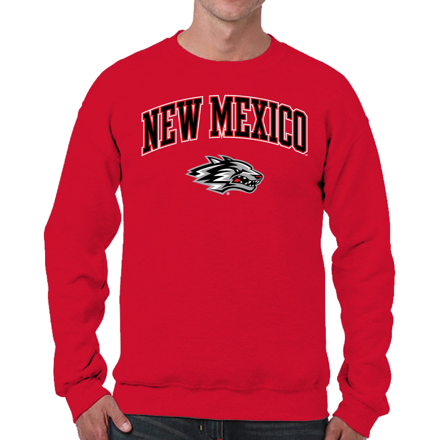 New Mexico Lobos Adult Arch & Logo Soft Style Gameday Crewneck Sweatshirt - Red