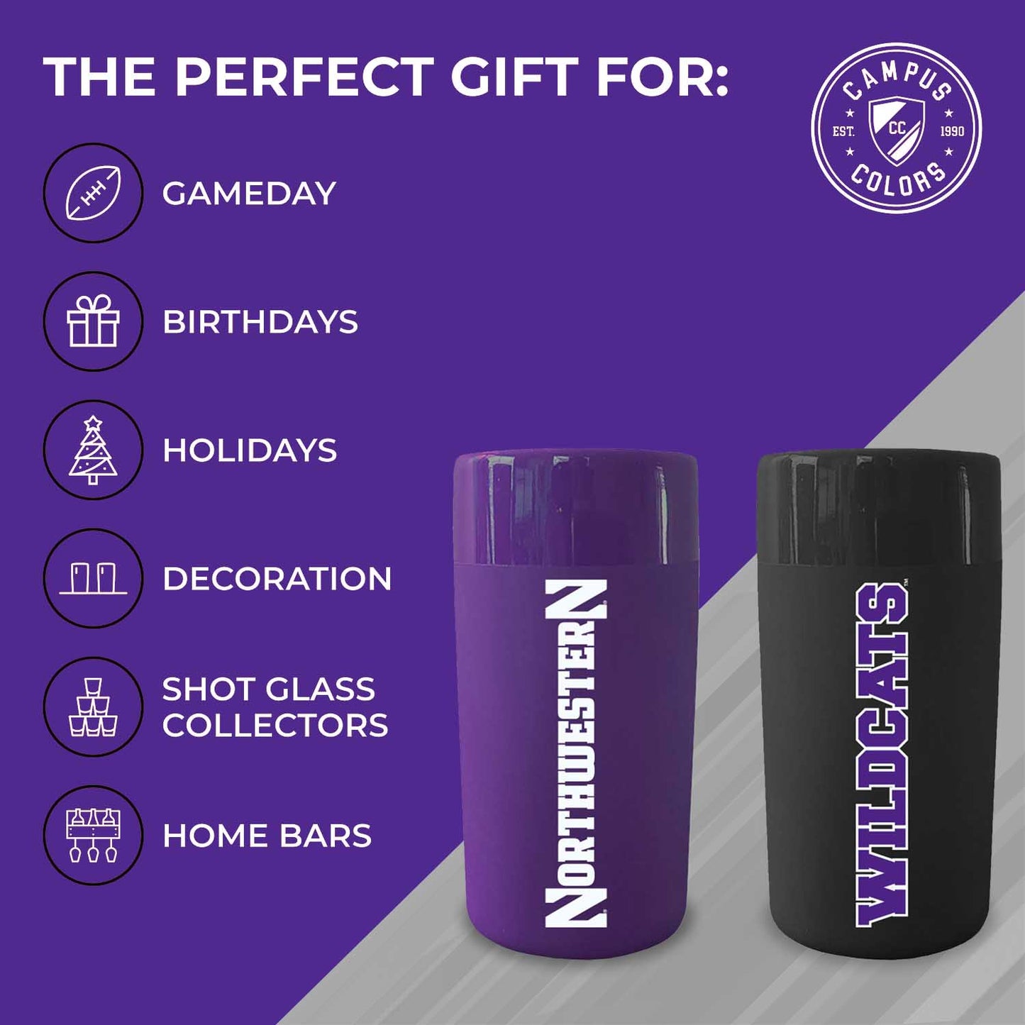 Northwestern Wildcats College and University 2-Pack Shot Glasses - Team Color