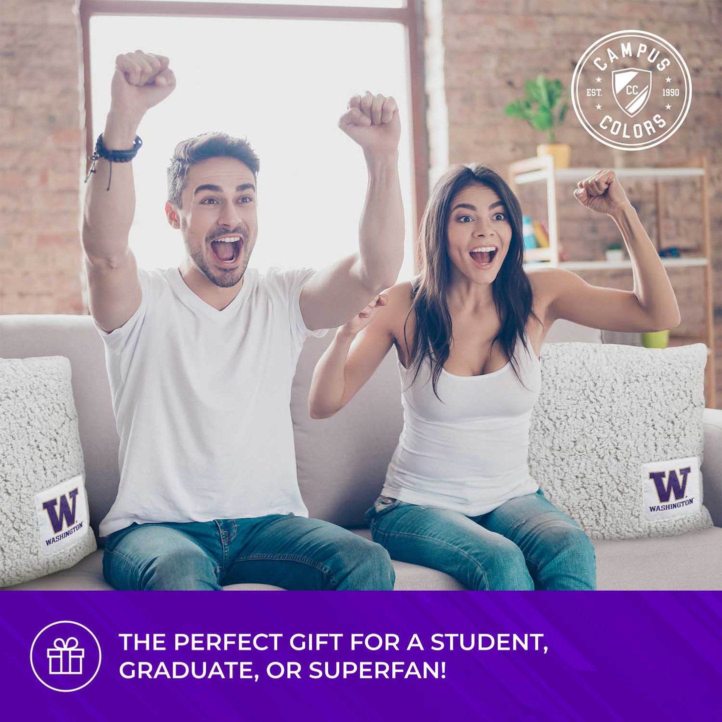 Washington Huskies Two Tone Sherpa Throw Pillow - Team Color