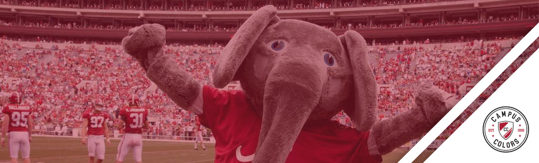 Best and Worst College Mascots
