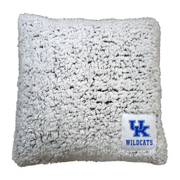 Kentucky Wildcats Two Tone Sherpa Throw Pillow - Team Color