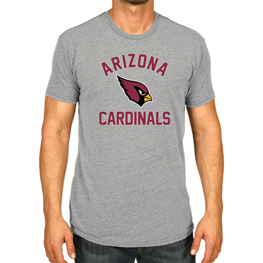 Arizona Cardinals NFL Adult Gameday T-Shirt - Gray
