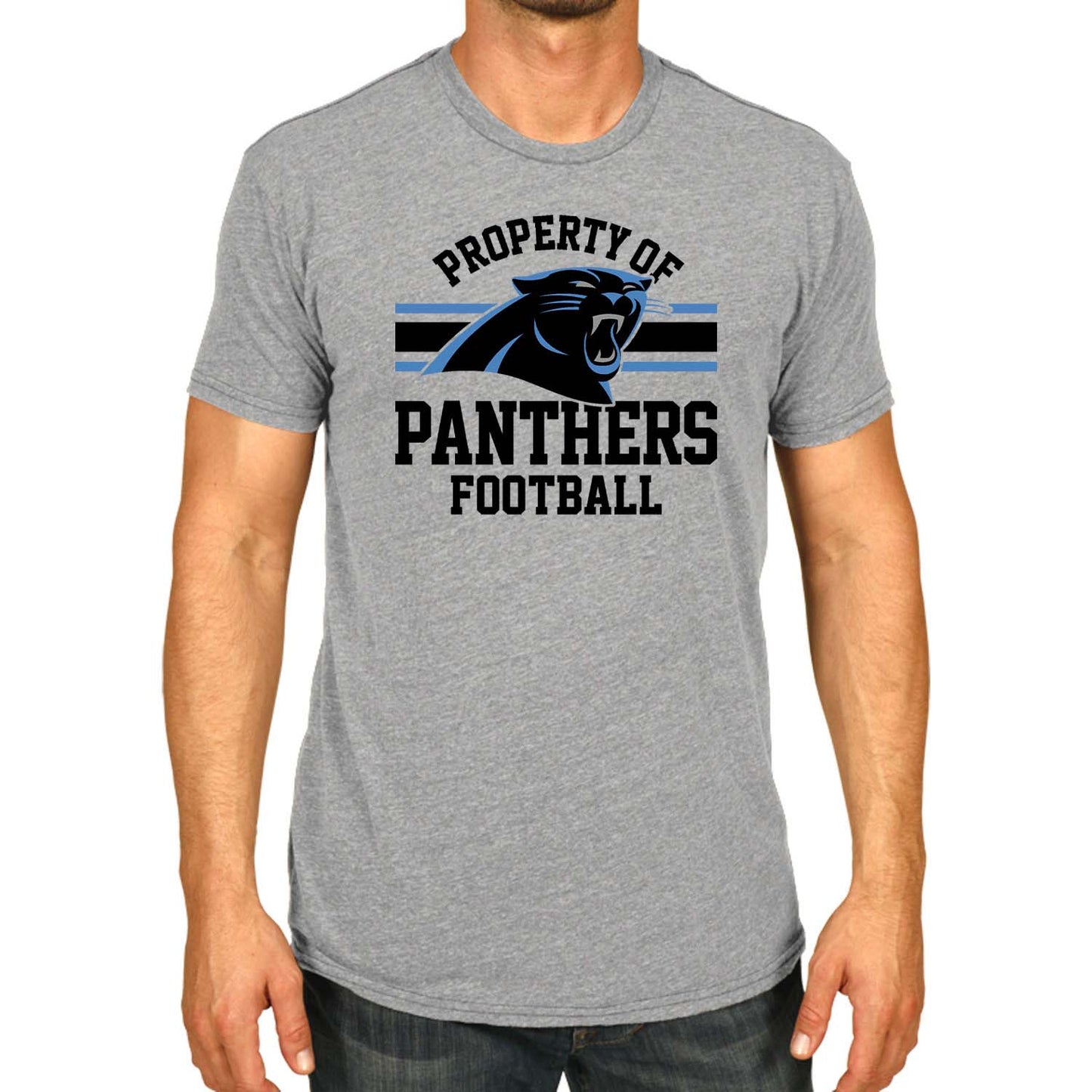 Carolina Panthers NFL Adult Property Of T-Shirt - Sport Gray
