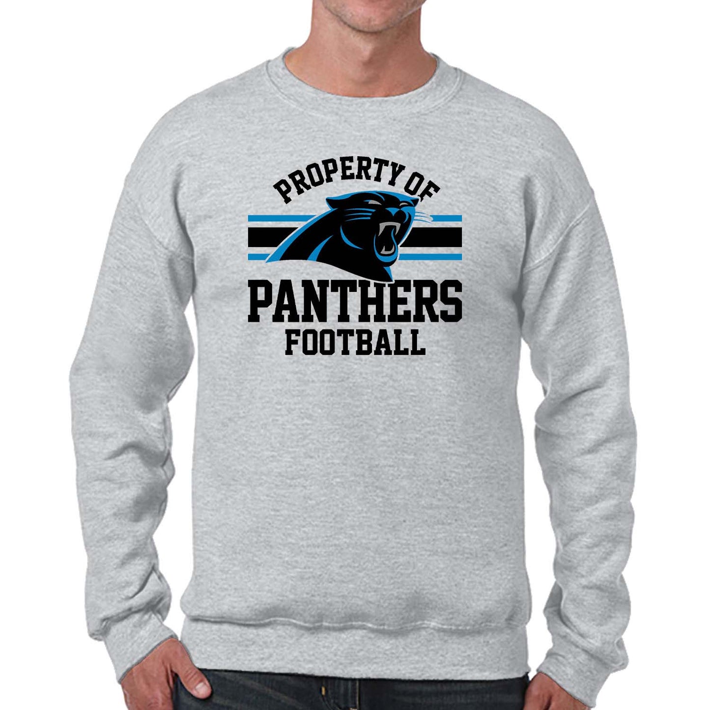 Carolina Panthers NFL Adult Property Of Crewneck Fleece Sweatshirt - Sport Gray