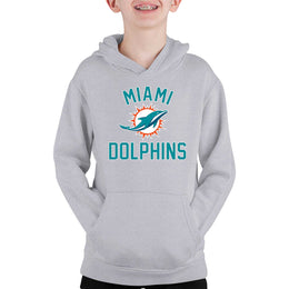 Miami Dolphins NFL Youth Gameday Hooded Sweatshirt - Gray