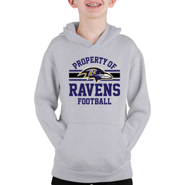 Baltimore Ravens NFL Youth Property Of Hooded Sweatshirt - Sport Gray
