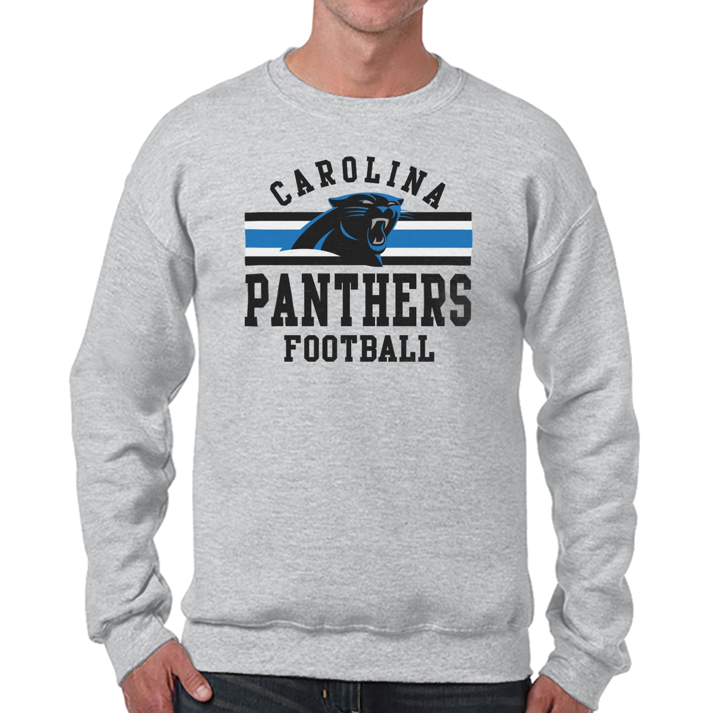 Carolina Panthers NFL Team Stripe Crew Sweatshirt - Sport Gray