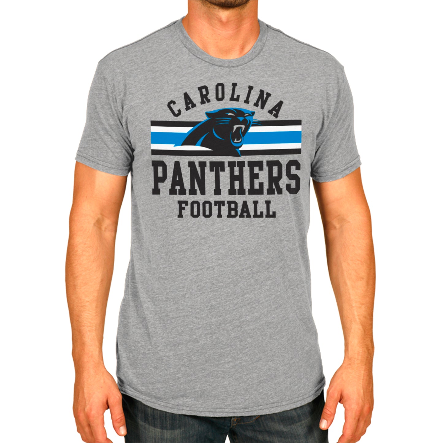 Carolina Panthers NFL Adult Short Sleeve Team Stripe Tee - Sport Gray