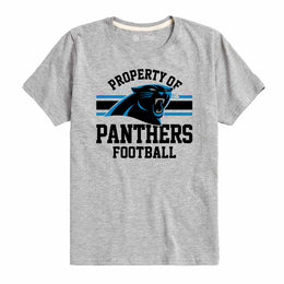 Carolina Panthers NFL Youth Property Of Short Sleeve Lightweight T Shirt - Sport Gray
