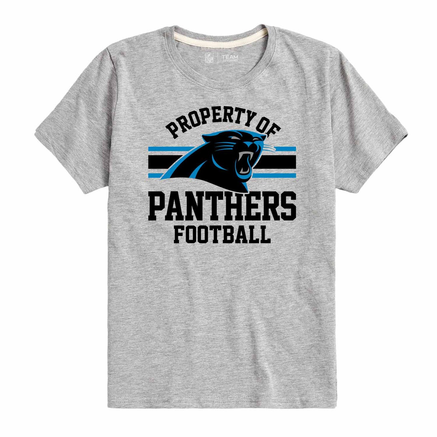 Carolina Panthers NFL Youth Property Of Short Sleeve Lightweight T Shirt - Sport Gray