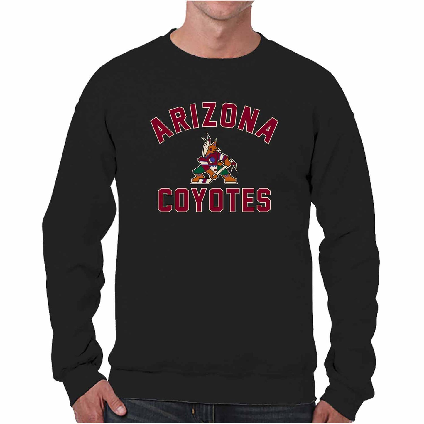 Arizona Coyotes Adult NHL Gameday Crewneck Sweatshirt - Black