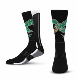 Philadelphia Eagles NFL V Curve  Socks - Team Color