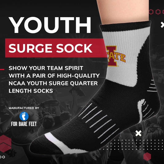 Iowa State Cyclones NCAA Youth Surge Team Mascot Quarter Socks - Black