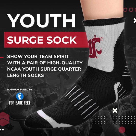 Washington State Cougars NCAA Youth Surge Team Mascot Quarter Socks - Black