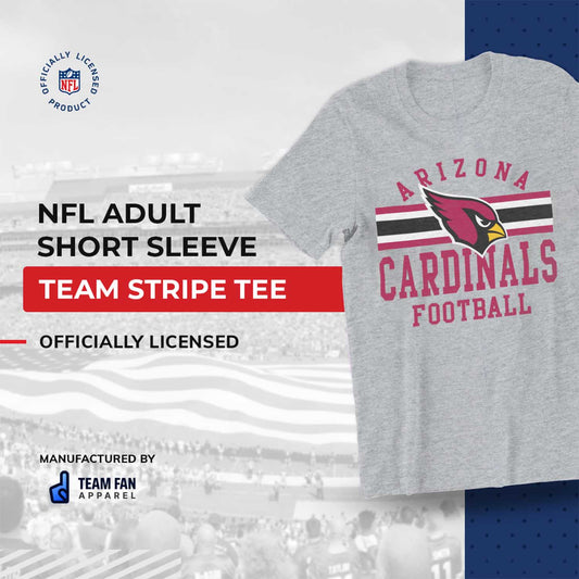 Arizona Cardinals NFL Adult Short Sleeve Team Stripe Tee - Sport Gray