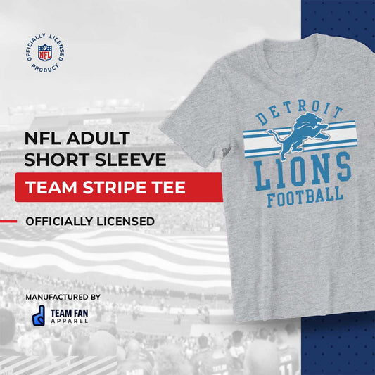 Detroit Lions NFL Adult Short Sleeve Team Stripe Tee - Sport Gray