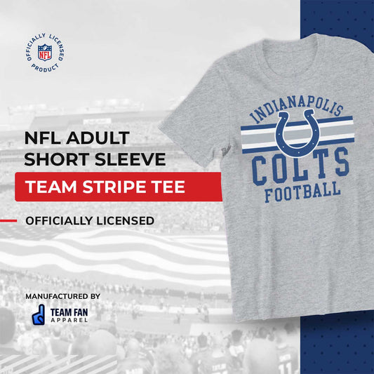 Indianapolis Colts NFL Adult Short Sleeve Team Stripe Tee - Sport Gray
