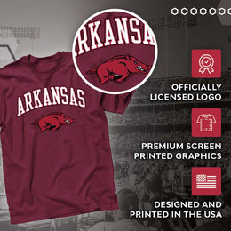 Arkansas Razorbacks NCAA Adult Gameday Cotton T-Shirt - Cardinal