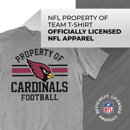 Arizona Cardinals NFL Adult Property Of T-Shirt - Sport Gray