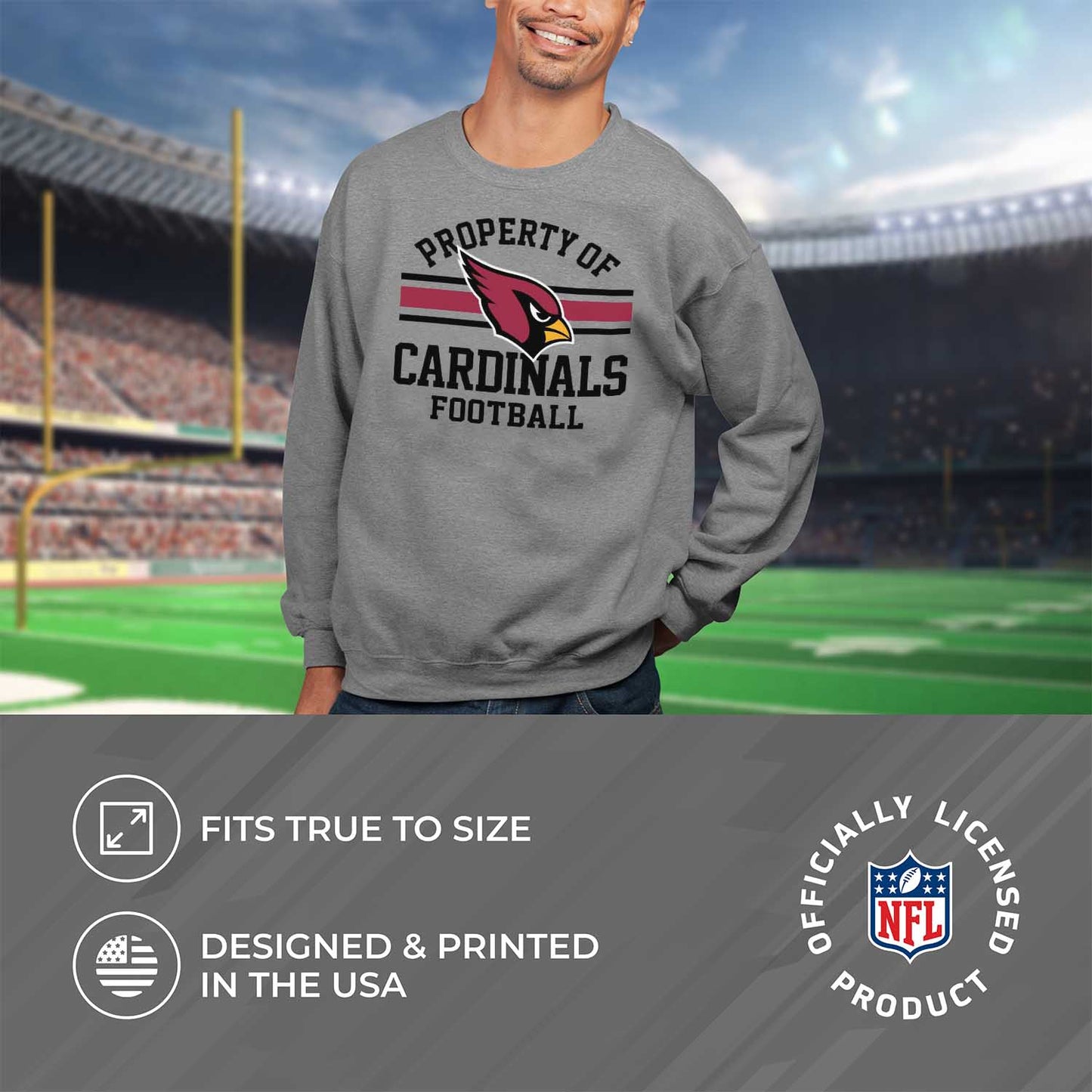 Arizona Cardinals NFL Adult Property Of Crewneck Fleece Sweatshirt - Sport Gray