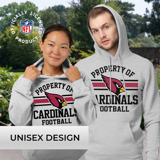 Arizona Cardinals NFL Adult Property Of Hooded Sweatshirt - Sport Gray