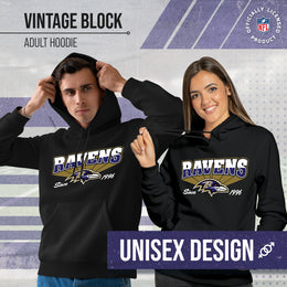 Baltimore Ravens NFL Adult Unisex Vintage Block Ultra Soft Fleece Hooded Sweatshirt - Black