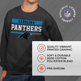 Carolina Panthers NFL Adult Long Sleeve Team Block Charcoal Crewneck Sweatshirt - Charcoal