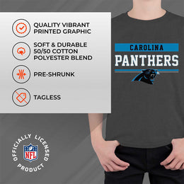 Carolina Panthers NFL Youth Short Sleeve Charcoal T Shirt - Charcoal