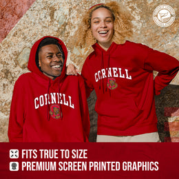 Cornell Big Red Campus Colors Adult Arch & Logo Soft Style Gameday Hooded Sweatshirt  - Red
