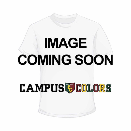 Eastern Illinois Panthers  Adult Arch N' Logo Hooded Sweatshirt - Royal