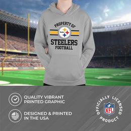 Pittsburgh Steelers NFL Youth Property Of Hooded Sweatshirt - Sport Gray