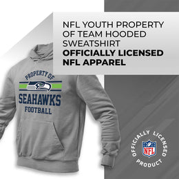 Seattle Seahawks NFL Youth Property Of Hooded Sweatshirt - Sport Gray
