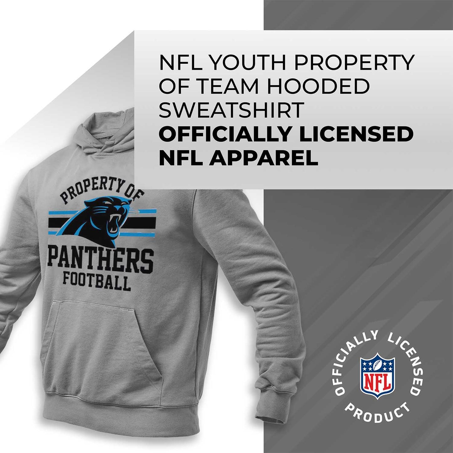 Carolina Panthers NFL Youth Property Of Hooded Sweatshirt - Sport Gray