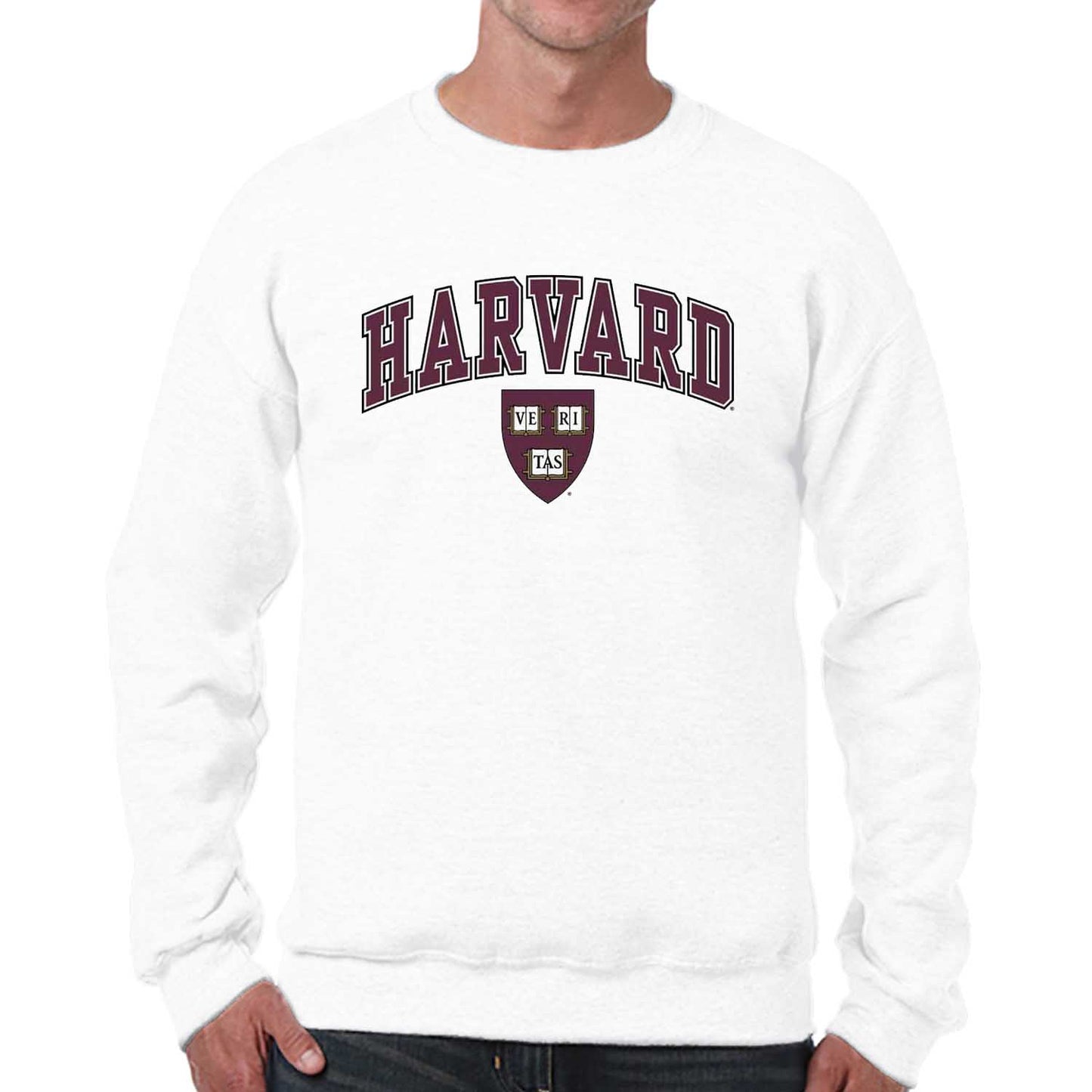 Harvard Crimson Adult Arch & Logo Soft Style Gameday Crewneck Sweatshirt - White
