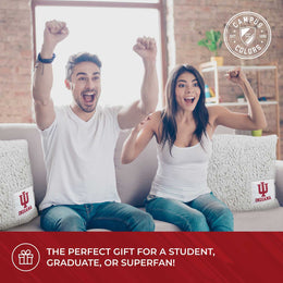 Indiana Hoosiers Two Tone Sherpa Throw Pillow - Team Color