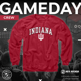 Indiana Hoosiers Campus Colors Adult Arch & Logo Soft Style Gameday Crewneck Sweatshirt  - Cardinal