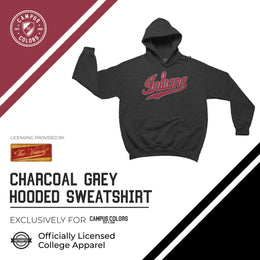 Indiana Hoosiers NCAA Adult Cotton Blend Charcoal Hooded Sweatshirt - Charcoal