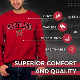 Maryland Terrapins Adult Arch & Logo Soft Style Gameday Crewneck Sweatshirt - Red
