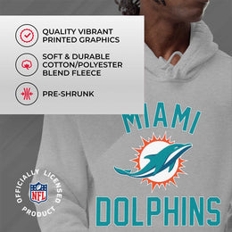 Miami Dolphins NFL Adult Gameday Hooded Sweatshirt - Gray