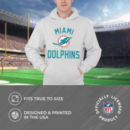 Miami Dolphins NFL Adult Gameday Hooded Sweatshirt - Gray
