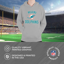 Miami Dolphins NFL Youth Gameday Hooded Sweatshirt - Gray