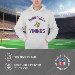 Minnesota Vikings NFL Adult Gameday Hooded Sweatshirt - Sport Gray