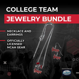 Nebraska Cornhuskers Collegiate Game Day Necklace and Earrings - Silver